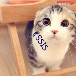 《SSIS