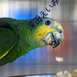 深田えみCAWD