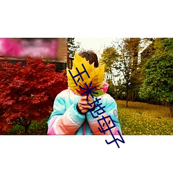 玉(yù)米地母子(zi)