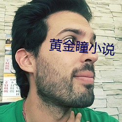 黄金瞳小说