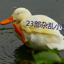 23部杂乱小说