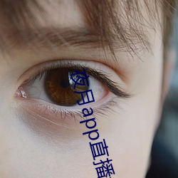 夜月app直播(bō)yy66tv