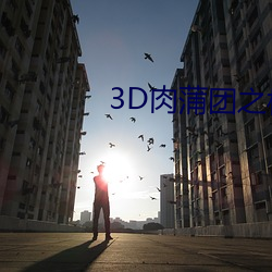 3D肉蒲团之极乐宝鉴8K影院