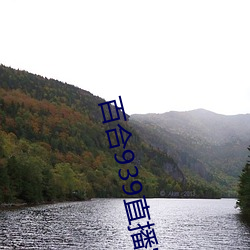 百合939直播官網