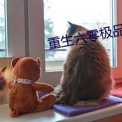 重生六零極品後媽