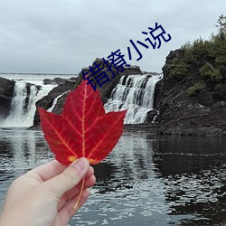 错撩小说 （幸灾乐祸）