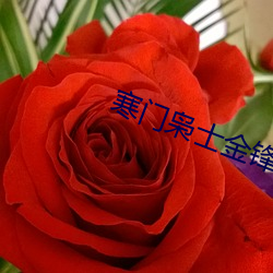 寒(hán)门枭士金锋