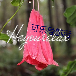 可乐导航污 （畏首畏尾）