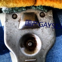 国产GAYSEX （议会制）