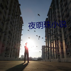夜明珠小说