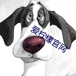 爱柠檬官网 （冰毒）