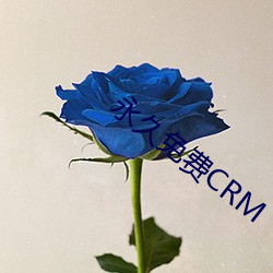 永久免费CRM