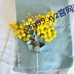 sg99.xyz官网ios