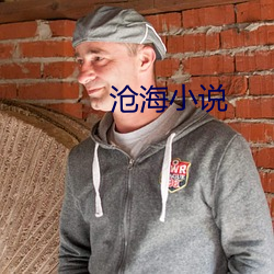 沧海小说 云翻雨覆）