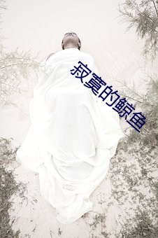 寂寞(寞)的鲸鱼