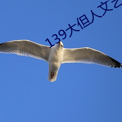 139大但人文(wén)艺术20