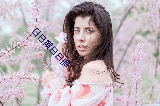 日(rì)日摸日日操