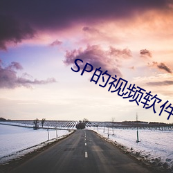 SP的视频软件