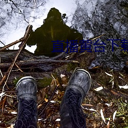 直播黃台下載