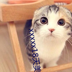 xxxxx18天美传媒xxnx （冷窗冻壁）