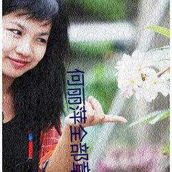 何丽萍全部(bù)章节