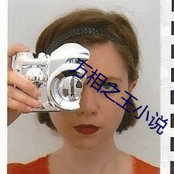 万相之王小说
