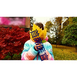 首席医官