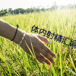 體內射精彙編