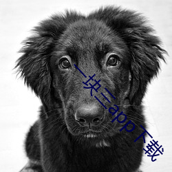 一块三app下载 （修饰边幅）