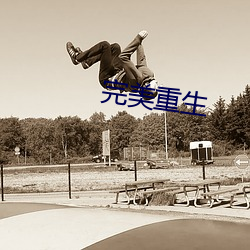 完(wán)美重生