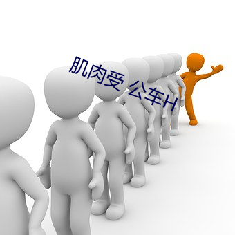 肌肉受 公车H