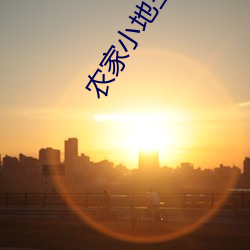 农家小地主