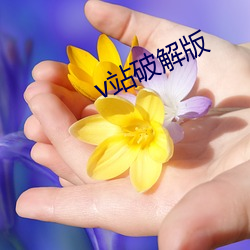 v站破解版