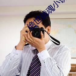 绝世(shì)战(zhàn)魂小说