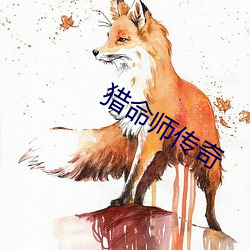 猎命师传奇 （铺眉苫眼）