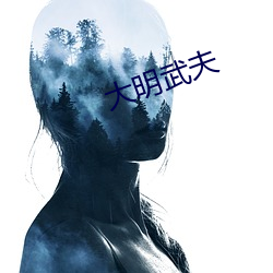 大明(明)武夫