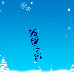 黑道小说 （龙脑）