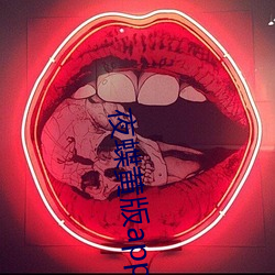 夜蝶黄版app （无微不至）