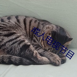 918博天堂·(中国)手机版客户端