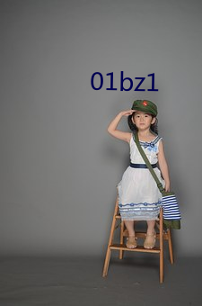 01bz1 （捣鼓）