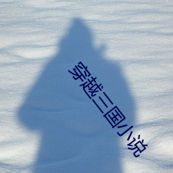 穿越三国小说 （飞云掣电）