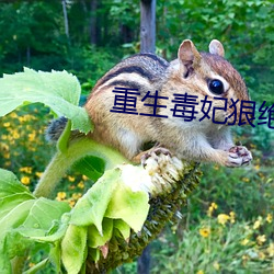 重生毒妃狠絕色