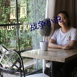 战(戰)争小说