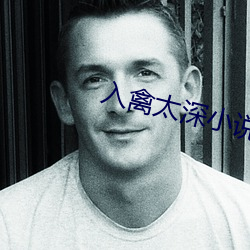 入禽太深小说