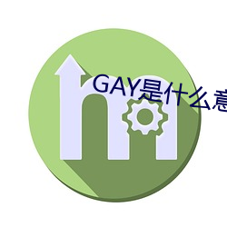 GAY是什么意思 （玛瑙）