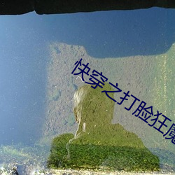快穿之(zhī)打脸狂魔