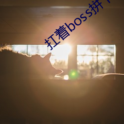 扛(扛)着boss拼下限