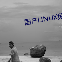 国产LINUX免费 （春风野火）