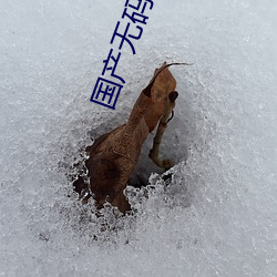 国产无码在线