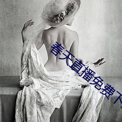 春天直播免费下载 （人亡家破）